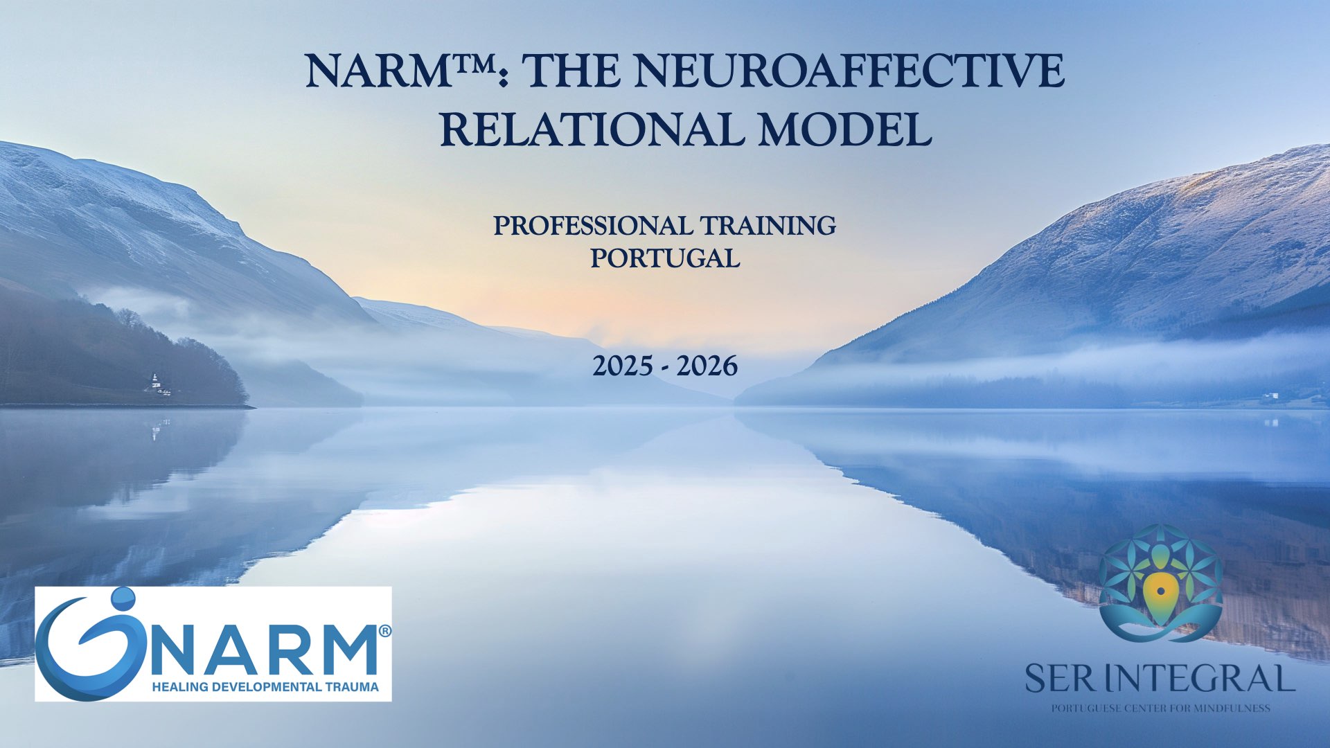 Formation en NARM, Neuroaffective Relational Model